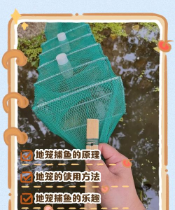 如何捉小鱼,掌握简单技巧,轻松收获乐趣 如何捉小鱼,掌握简单技巧,轻松收获乐趣