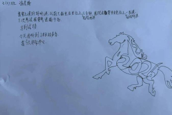 怎么训马,掌握基本方法,建立信任关系 怎么训马,掌握基本方法,建立信任关系