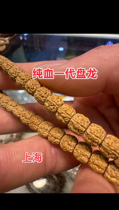 盘龙怎么样,适合新手吗,真实体验分享 盘龙怎么样,适合新手吗,真实体验分享