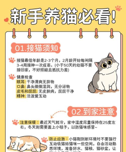 怎么领养宠物,了解正规渠道,做好充分准备 怎么领养宠物,了解正规渠道,做好充分准备