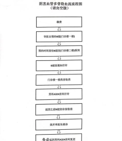 现货宝如何,操作流程详解,新手入门指南 现货宝如何,操作流程详解,新手入门指南