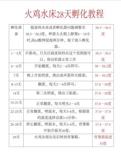 怎么孵出小鸡,掌握关键步骤,提高孵化成功率 怎么孵出小鸡,掌握关键步骤,提高孵化成功率