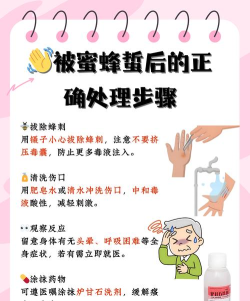 如何捕捉蜜蜂,安全有效,避免被蜇伤 如何捕捉蜜蜂,安全有效,避免被蜇伤