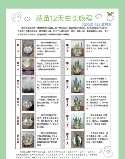 种子怎么使用,常见问题解答,实用操作指南 种子怎么使用,常见问题解答,实用操作指南