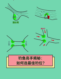 怎么钓到大鱼,选对位置,耐心等待 怎么钓到大鱼,选对位置,耐心等待