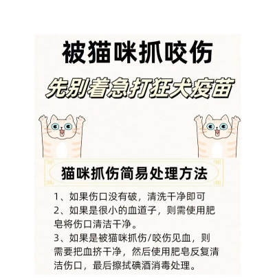 如何抓猫咪,避免受伤,掌握正确方法 如何抓猫咪,避免受伤,掌握正确方法