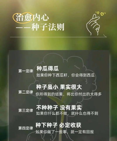 种子怎么下,常见问题,实用方法 种子怎么下,常见问题,实用方法