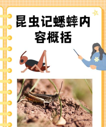 如何捉蟋蟀,掌握关键技巧,享受童年乐趣 如何捉蟋蟀,掌握关键技巧,享受童年乐趣