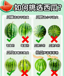 如何装西瓜,避免运输破损,保持新鲜到家 如何装西瓜,避免运输破损,保持新鲜到家
