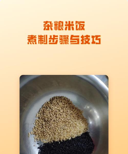 杂粮米饭怎么做,掌握关键步骤,轻松煮出好口感 杂粮米饭怎么做,掌握关键步骤,轻松煮出好口感
