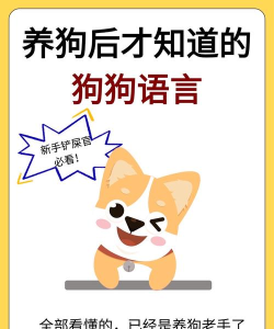 狗语怎么说,理解狗狗情绪,掌握沟通技巧 狗语怎么说,理解狗狗情绪,掌握沟通技巧
