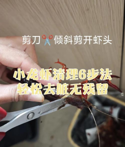 怎么刷龙虾,清洗技巧分享,轻松处理不费劲 怎么刷龙虾,清洗技巧分享,轻松处理不费劲