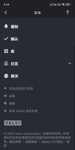 steam怎么中文,界面设置方法,语言切换步骤 steam怎么中文,界面设置方法,语言切换步骤