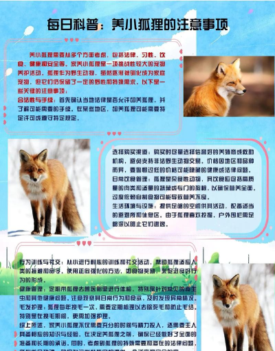 狐狸如何养,了解基本习性,掌握饲养要点 狐狸如何养,了解基本习性,掌握饲养要点