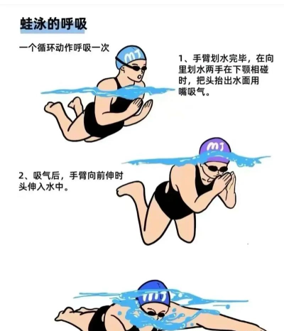 如何潜水游泳,掌握基本技巧,提升水下体验 如何潜水游泳,掌握基本技巧,提升水下体验