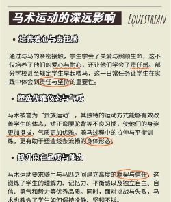 怎么驯服马,建立信任关系,掌握基础技巧 怎么驯服马,建立信任关系,掌握基础技巧