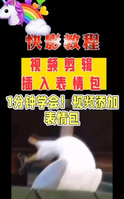 视频怎么加表情包,轻松搞定,让视频更有趣 视频怎么加表情包,轻松搞定,让视频更有趣