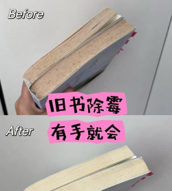 书怎么保存,防止发霉虫蛀,延长寿命 书怎么保存,防止发霉虫蛀,延长寿命