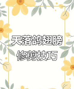 翅膀怎么剪,安全操作要点,新手必看指南 翅膀怎么剪,安全操作要点,新手必看指南