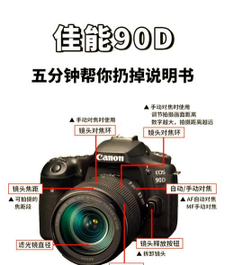 相机怎么玩,新手入门指南,快速上手技巧 相机怎么玩,新手入门指南,快速上手技巧