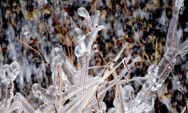 如何拍摄冰,掌握光线技巧,展现晶莹质感 如何拍摄冰,掌握光线技巧,展现晶莹质感