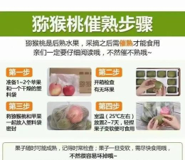 猴子怎么吃,食物选择,进食习惯 猴子怎么吃,食物选择,进食习惯