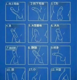 b怎么玩,掌握入门技巧,解锁更多乐趣 b怎么玩,掌握入门技巧,解锁更多乐趣