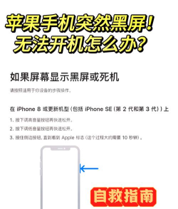 苹果手机突然黑屏打不开怎么办,快速自救方法,避免数据丢失 苹果手机突然黑屏打不开怎么办,快速自救方法,避免数据丢失