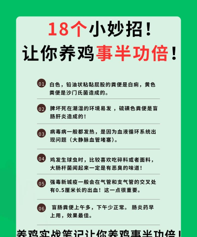怎么找到鸡,解决常见问题,提供实用方法 怎么找到鸡,解决常见问题,提供实用方法