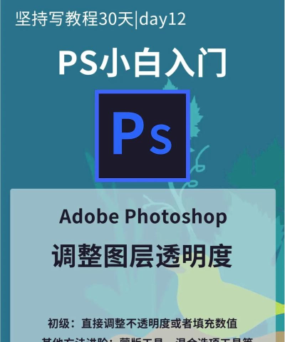 图片透明度怎么调,简单几步,轻松搞定 图片透明度怎么调,简单几步,轻松搞定