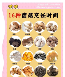 蘑菇怎么养,掌握关键步骤,轻松收获美味 蘑菇怎么养,掌握关键步骤,轻松收获美味