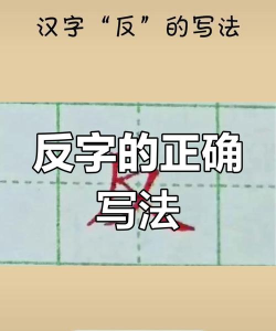 如何打反字,常见方法,实用技巧 如何打反字,常见方法,实用技巧