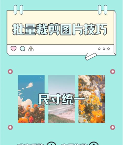 照片怎么剪切,操作步骤详解,新手也能快速上手 照片怎么剪切,操作步骤详解,新手也能快速上手