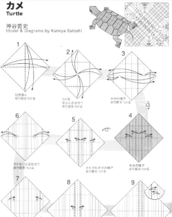 乌龟怎么叠,简单几步,轻松学会 乌龟怎么叠,简单几步,轻松学会