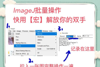 xapk怎么安装,常见问题解决,操作步骤详解 xapk怎么安装,常见问题解决,操作步骤详解
