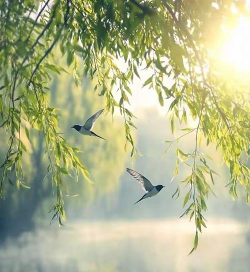 怎么的微风,吹拂脸庞,感受自然气息 怎么的微风,吹拂脸庞,感受自然气息