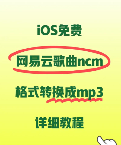网易云音乐怎么下载mp3格式,解决常见问题,分享实用方法 网易云音乐怎么下载mp3格式,解决常见问题,分享实用方法