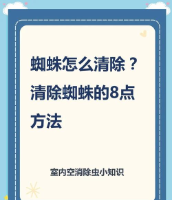 怎么消灭蜘蛛,快速有效方法,家庭安全防护 怎么消灭蜘蛛,快速有效方法,家庭安全防护
