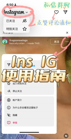 ins怎么用,新手入门指南,快速上手技巧 ins怎么用,新手入门指南,快速上手技巧