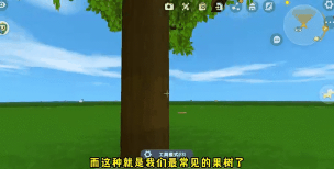迷你世界树怎么种,快速上手技巧,新手必看指南 迷你世界树怎么种,快速上手技巧,新手必看指南
