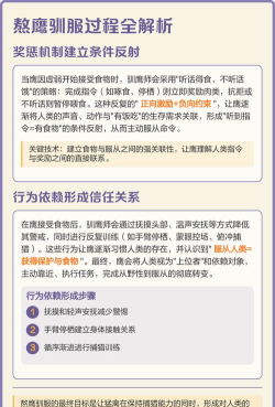 如何驯服鹰,掌握关键技巧,建立信任关系 如何驯服鹰,掌握关键技巧,建立信任关系