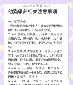 怎么领养猫咪,了解正规渠道,做好领养准备 怎么领养猫咪,了解正规渠道,做好领养准备