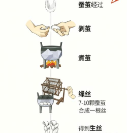 如何取蚕丝,掌握关键步骤,轻松获得优质丝线 如何取蚕丝,掌握关键步骤,轻松获得优质丝线