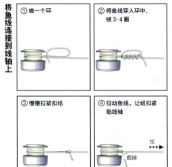 鱼线怎么做,选材与步骤,新手也能上手 鱼线怎么做,选材与步骤,新手也能上手
