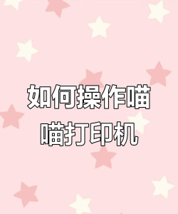 喵喵机怎么用,新手入门指南,常见问题解答 喵喵机怎么用,新手入门指南,常见问题解答