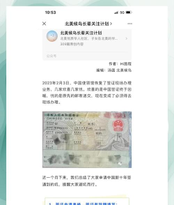 证件号怎么填,避免常见错误,确保信息准确 证件号怎么填,避免常见错误,确保信息准确