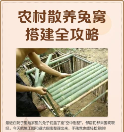 兔子窝怎么做,材料选择,搭建步骤 兔子窝怎么做,材料选择,搭建步骤