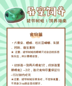 怎么养青蛙,了解基本习性,掌握饲养要点 怎么养青蛙,了解基本习性,掌握饲养要点