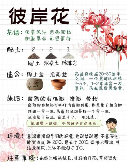 彼岸花怎么克制,常见问题解析,实用方法分享 彼岸花怎么克制,常见问题解析,实用方法分享