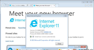 ie11下载,获取官方版本,确保系统兼容 ie11下载,获取官方版本,确保系统兼容
